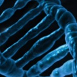 DNA - Gender-Diskurs